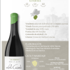 La Cancilla - Bodegas Loli Casado - Imagen 2